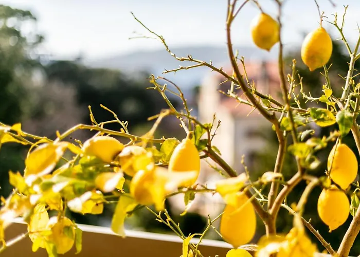 Le Chateau De La Pinede Ap4198 By Riviera Homes * Juan-les-Pins