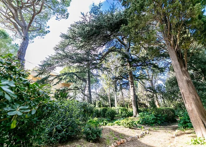 Le Chateau De La Pinede Ap4198 By Riviera Homes Daire